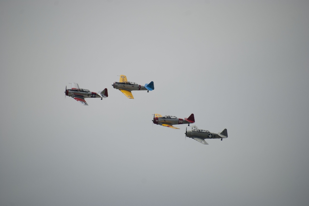 DSC_2908.jpg